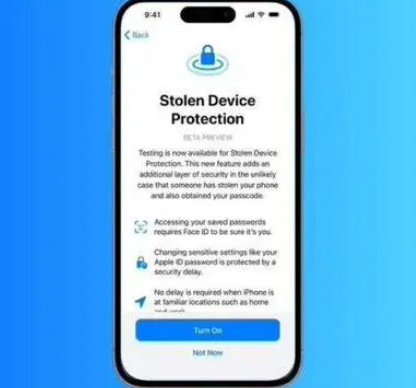抚远苹果授权维修店分享被盗设备保护功能开启方法 