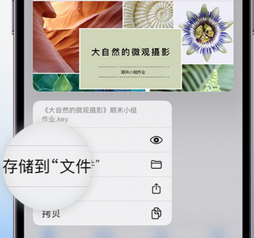 抚远apple维修中心分享iPhone文件应用中存储和找到下载文件