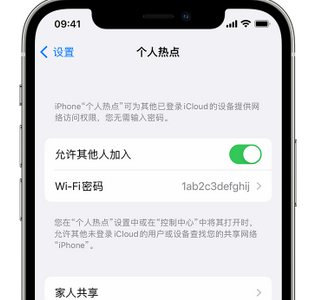 抚远apple服务站点分享iPhone上个人热点丢失了怎么办 