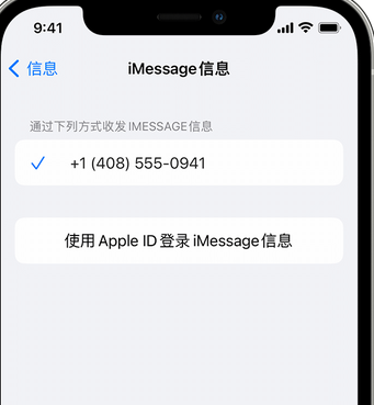 抚远apple维修iPhone上无法正常发送iMessage信息 