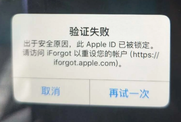 抚远iPhone维修分享iPhone上正常登录或使用AppleID怎么办 