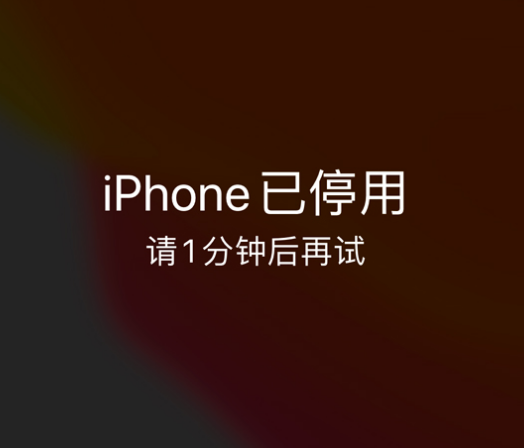 抚远苹果手机维修分享:iPhone 显示“不可用”或“已停用”怎么办？还能保留数据吗？ 