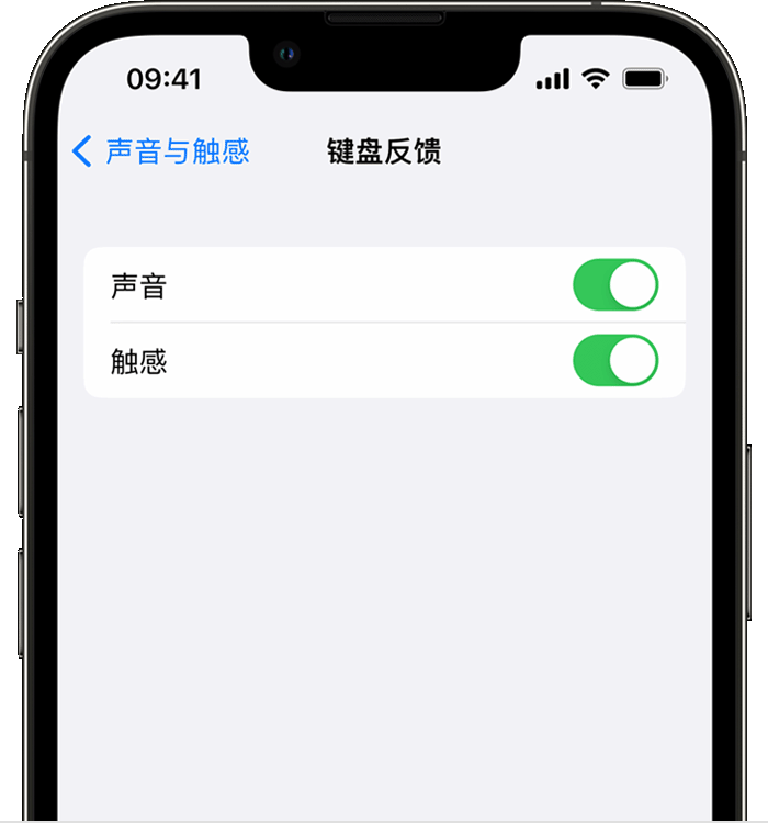 抚远苹果14维修店分享如何在 iPhone 14 机型中使用触感键盘 