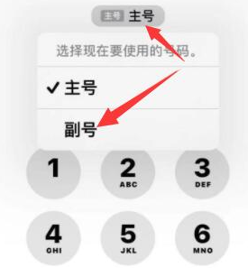 抚远苹果14维修店分享iPhone 14 Pro Max使用副卡打电话的方法 