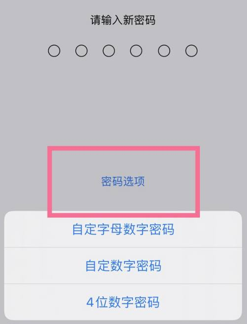 抚远苹果14维修分享iPhone 14plus设置密码的方法 