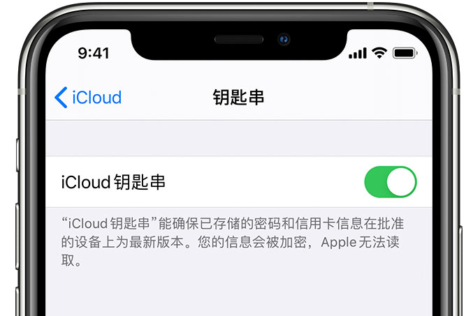 抚远苹果手机维修分享在 iPhone 上开启 iCloud 钥匙串之后会储存哪些信息 