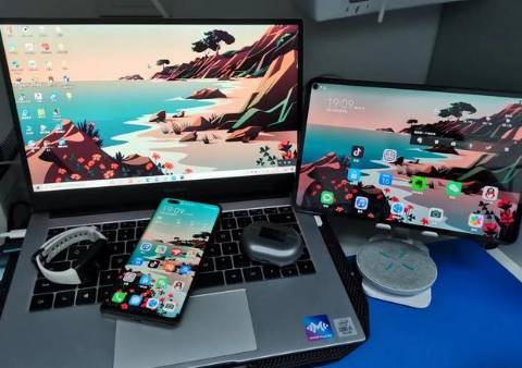 抚远苹果手机维修分享为什么iPad屏幕更大价格却比iPhone低 