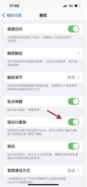抚远苹果手机维修分享iPhone手机如何设置摇一摇删除文字 